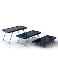 Blue Wooden Tray Risers